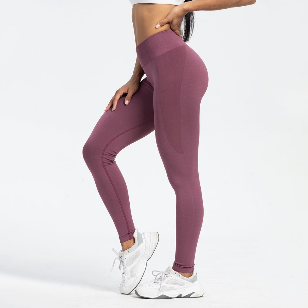 Alphalete Everyday Leggings